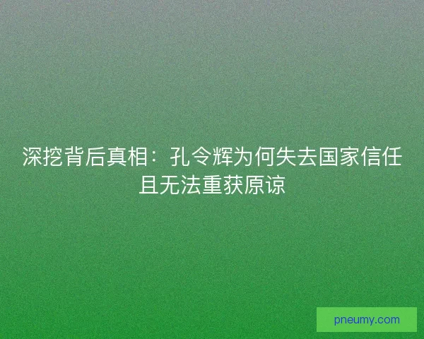 深挖背后真相：孔令辉为何失去国家信任且无法重获原谅